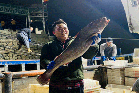 祝賀！ 一網價值200萬元！波星通船只捕獲40000斤超大米魚群！